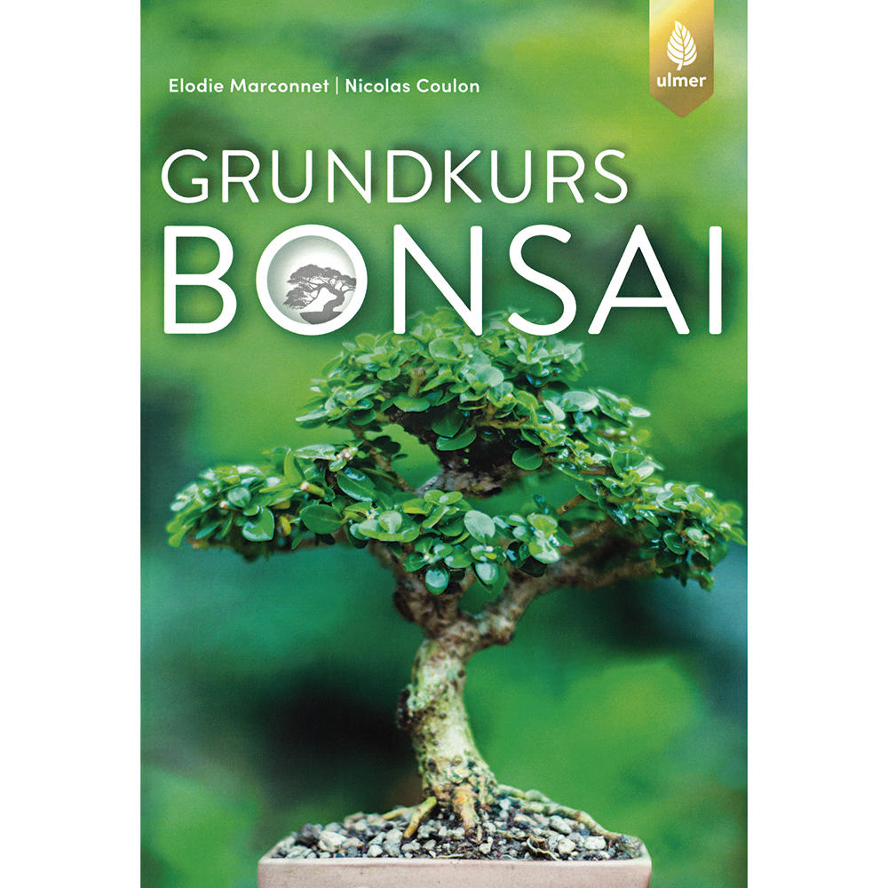 Grundkurs Bonsai