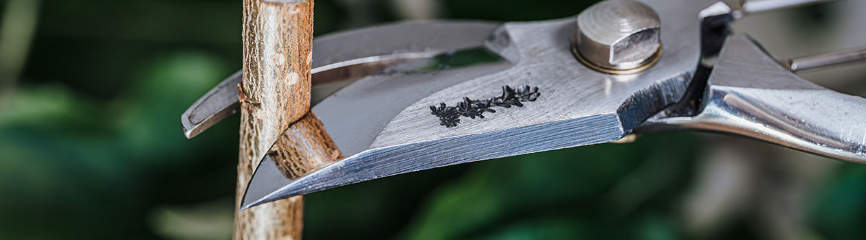 Header_DICTUM_Garten-Schere_1260x350