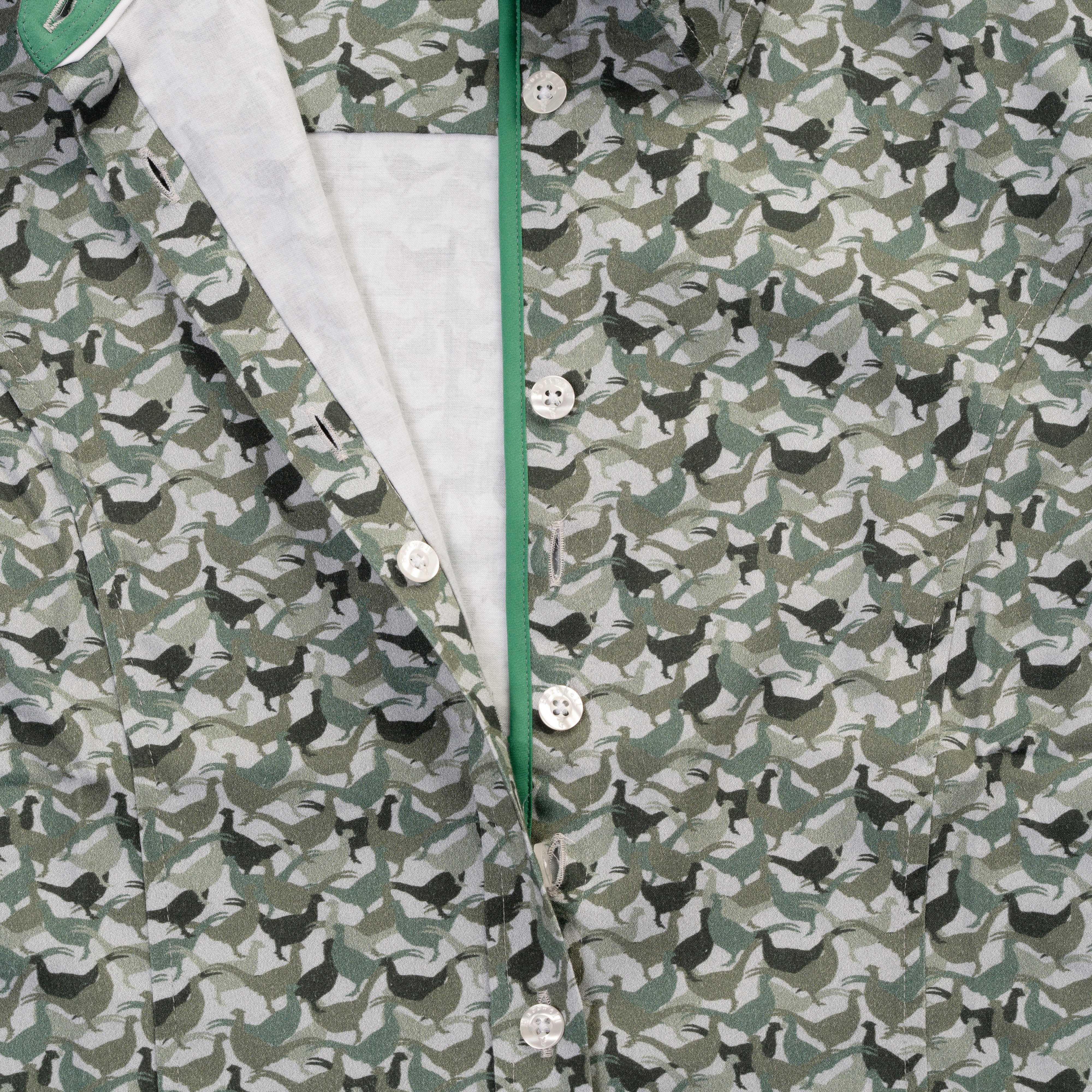 Camicia da donna Hartwell »Layla«, verde, motivo »Fagiani«