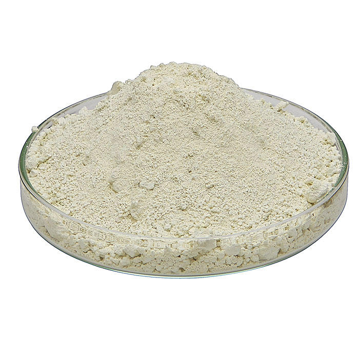 Migakiko Polishing Powder