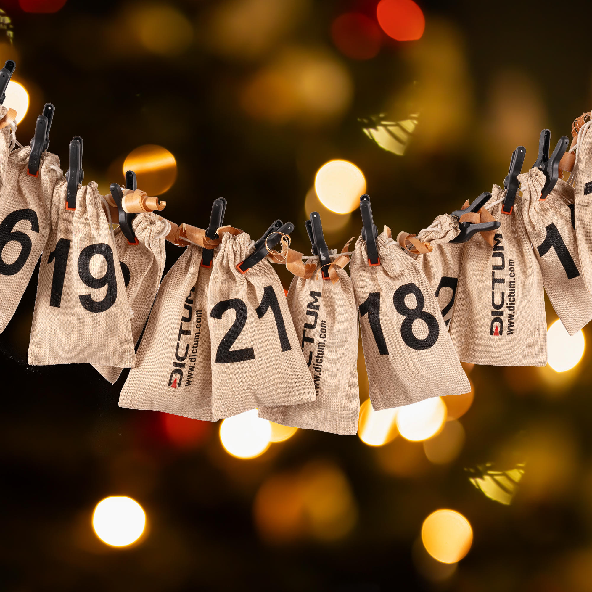 DICTUM® Surprise Advent Calendar