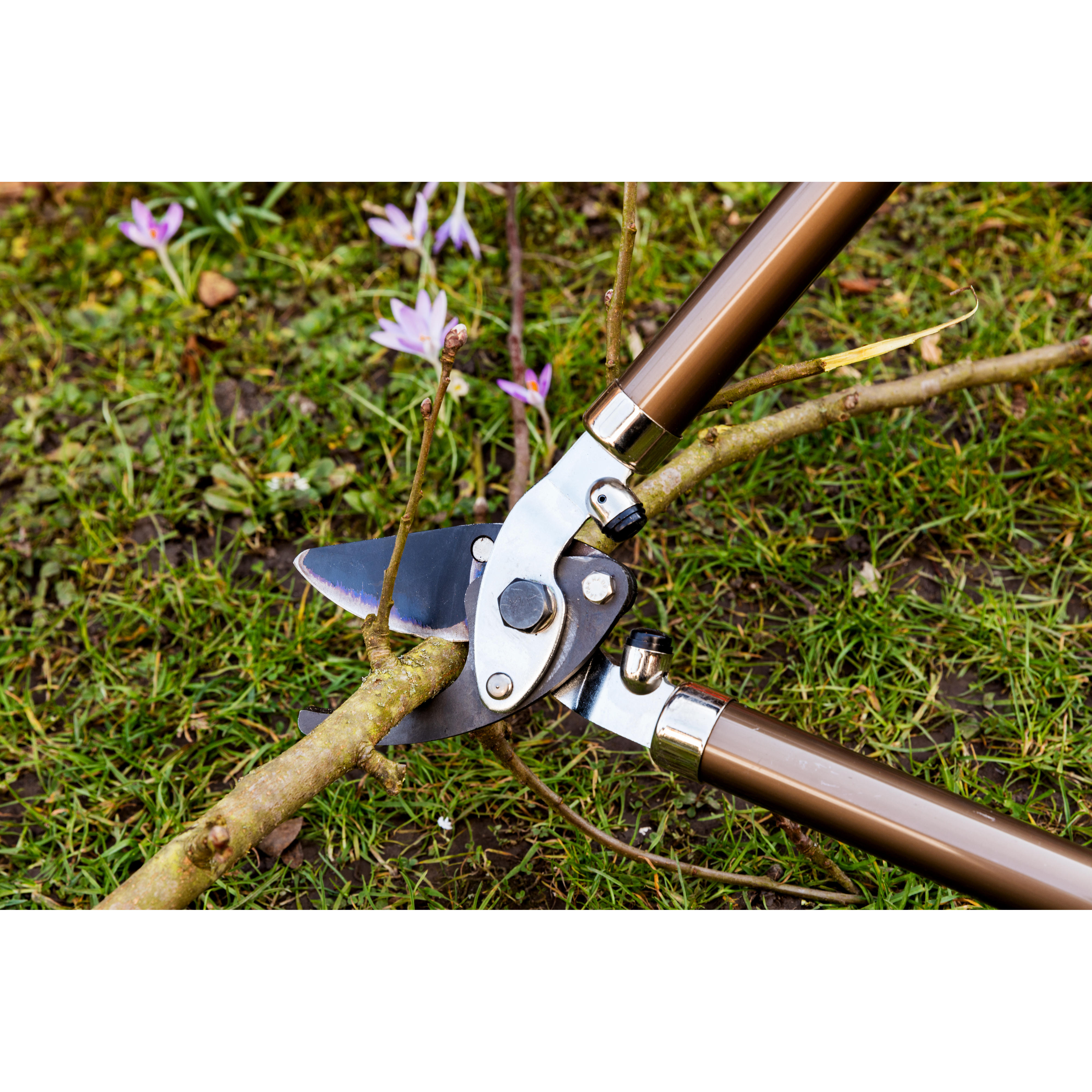 »Kamaki« Pruning Loppers with Telescopic Handles