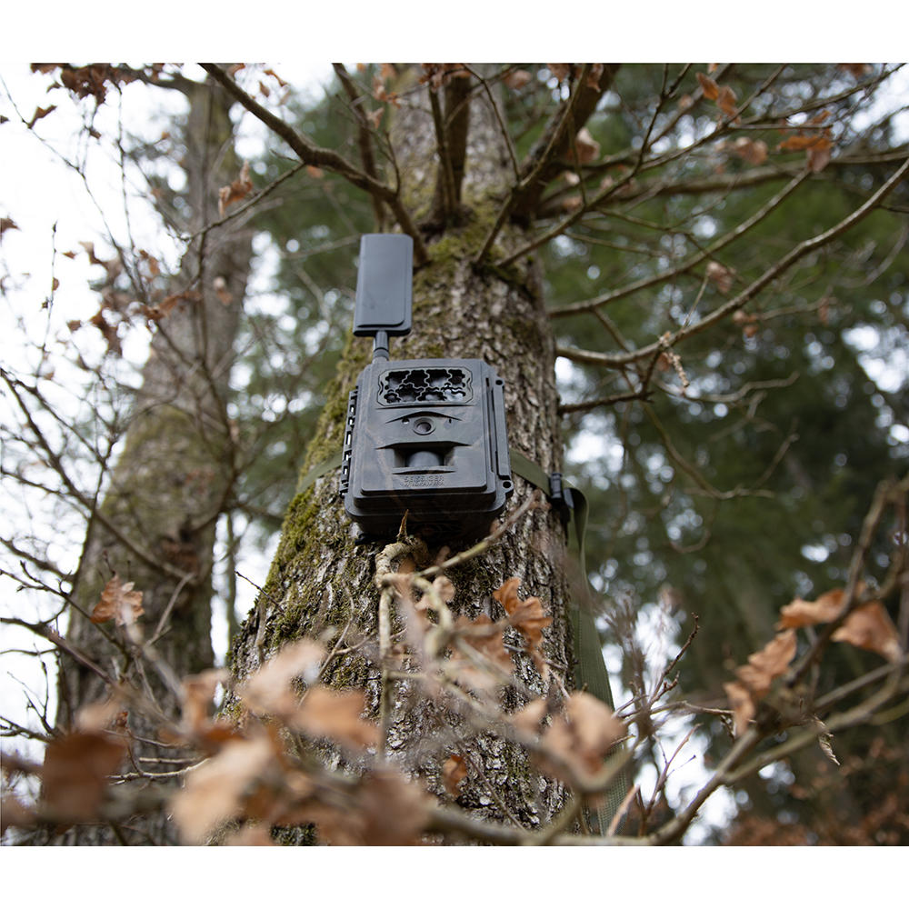 Sessiger Tree Strap for Wildlife Cameras