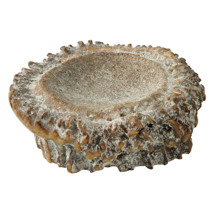 Stag Burr