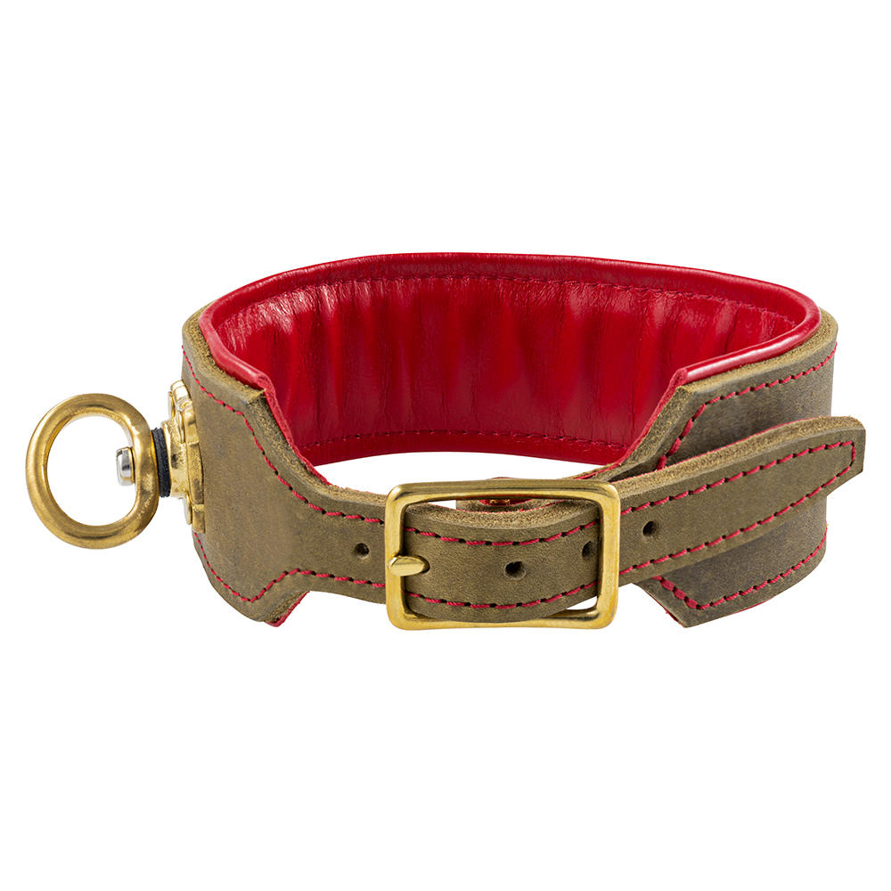 Collare da traccia »The GunDog Affair«, 50 mm, taglia XXL