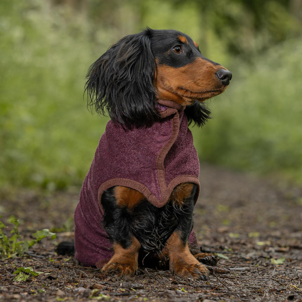 Dog Drying Coat, Country Collection
