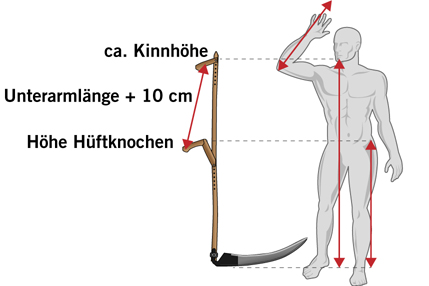 02_Wurfarm-Proportionen 02_Wurfarm-Proportionen