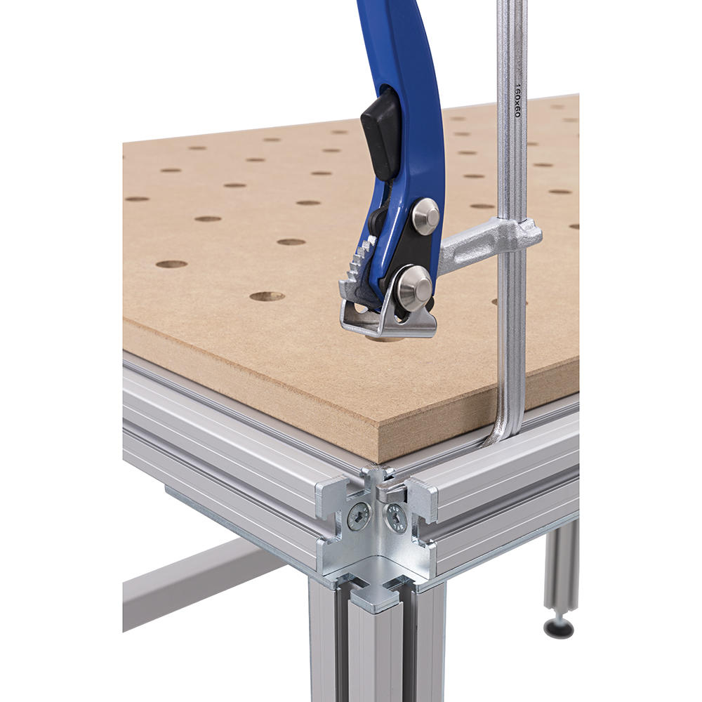 DICTUM® Hebelzwinge für Führungsschienen, Ausladung 60 mm, Spannweite 200 mm