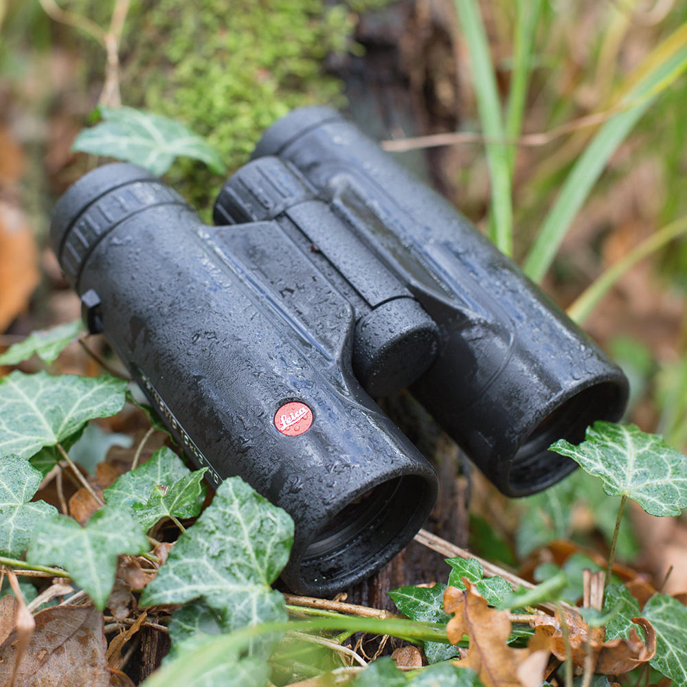 Binocolo Leica Trinovid HD 8 x 42