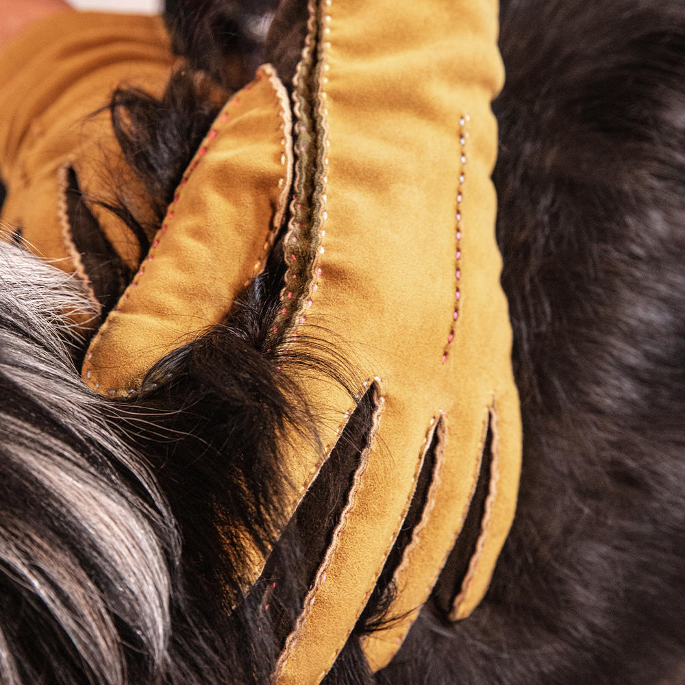Guanti da donna FORLI, pelle scamosciata di capra, fodera di cashmere