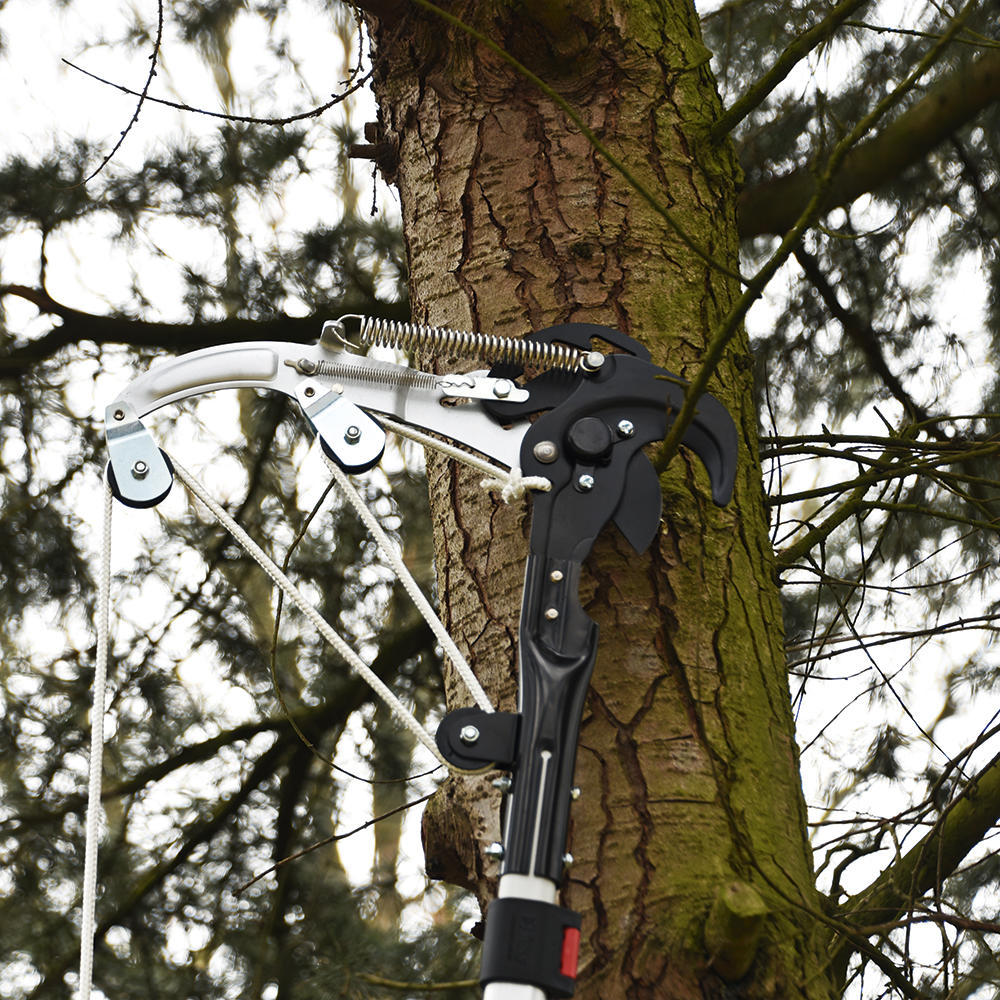 Silky® Sintung Pruning Shears for Silky® Hayauchi Professional Telescopic Saws