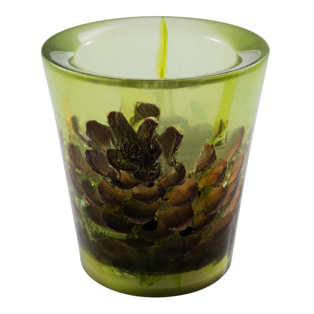 Lizard Blanks Epoxy Resin Mould, Pine Cone