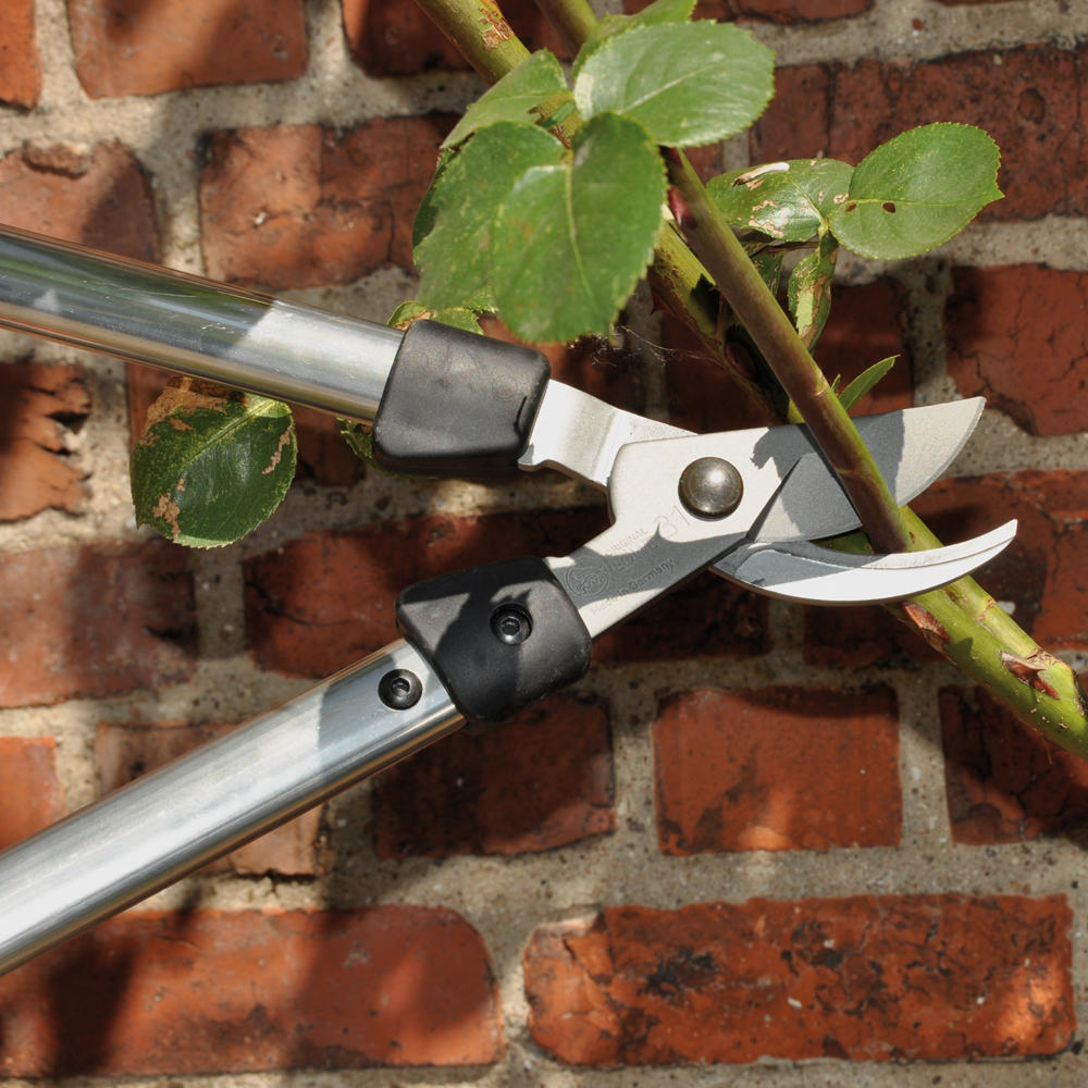 Löwe® 31 Mini Bypass Loppers, Length 400 mm