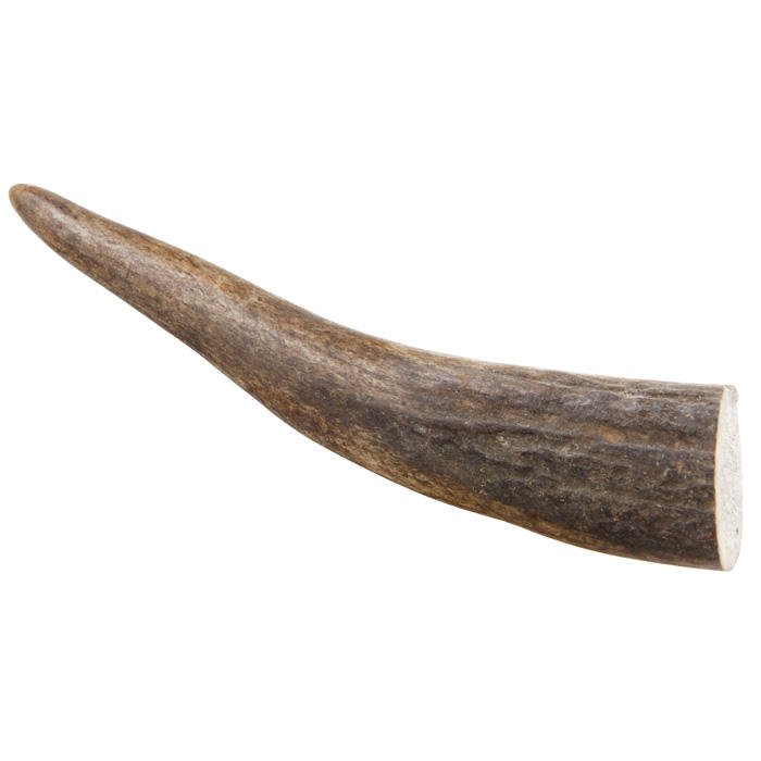 Deer Horn Tip