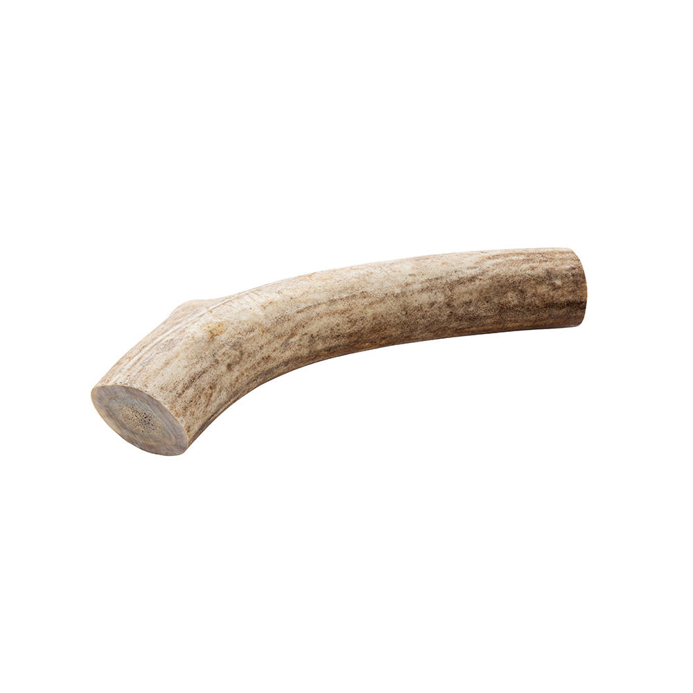 Segment de bois de renne, 181-250 g