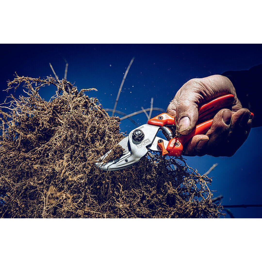 Löwe® 8 Amboss-Schere, mit gebogener Klinge Löwe® 8 Amboss-Schere, mit gebogener Klinge