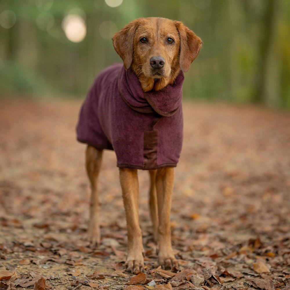 Dog Drying Coat, Country Collection