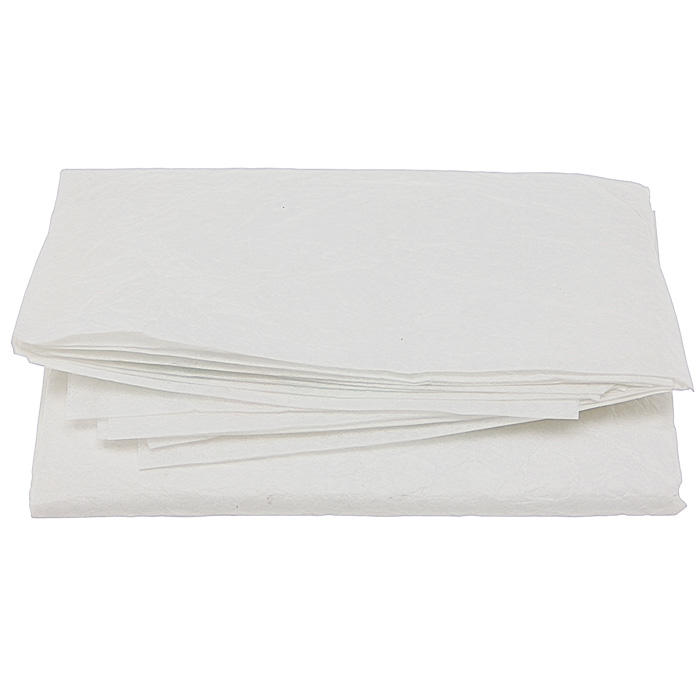 Polishing Paper, 10-Piece Set