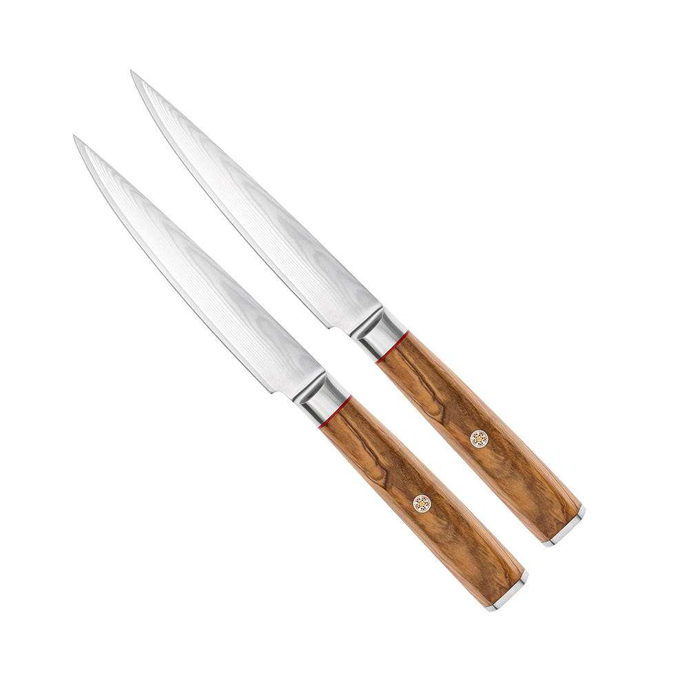 Coltelli da bistecca e da tavola DICTUM® »Oliva«, set, 2 pezzi