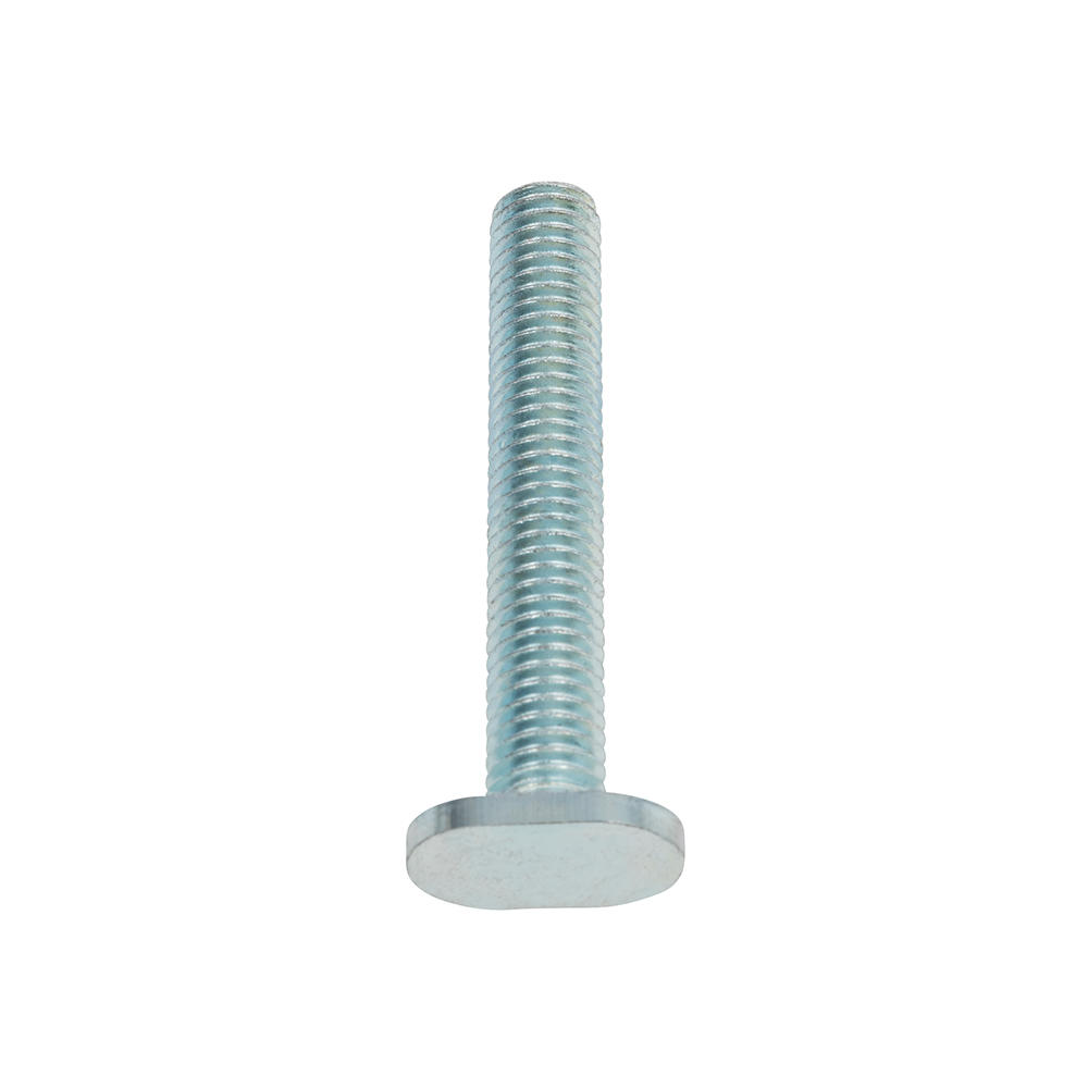 T-Schrauben M6 x 50 mm, 10 Stück