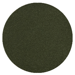 Vert forêt