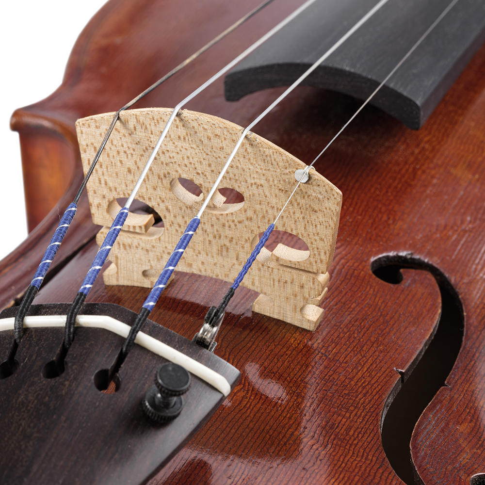 Herdim® Stegschutz, Violin