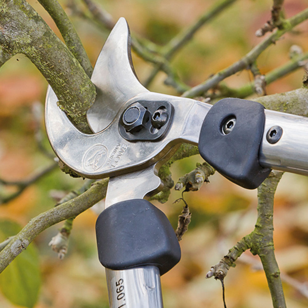 EW_Garten_Astschaere_Loewe EW_Garten_Astschaere_Loewe