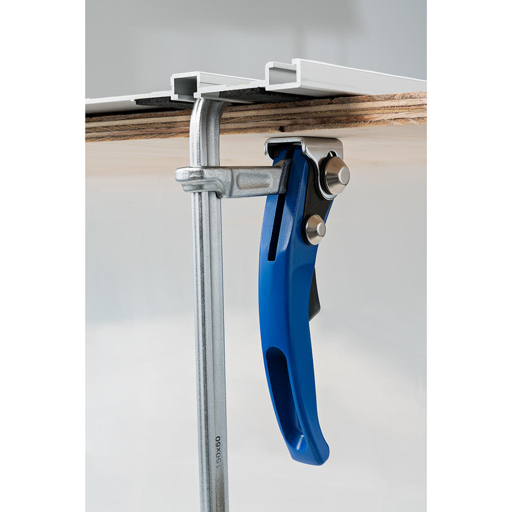 DICTUM® Hebelzwinge für Führungsschienen, Ausladung 60 mm, Spannweite 200 mm