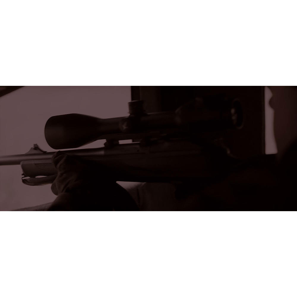 Swarovski Fernglas SLC 10 x 56 W B