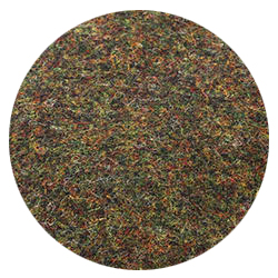 loden green