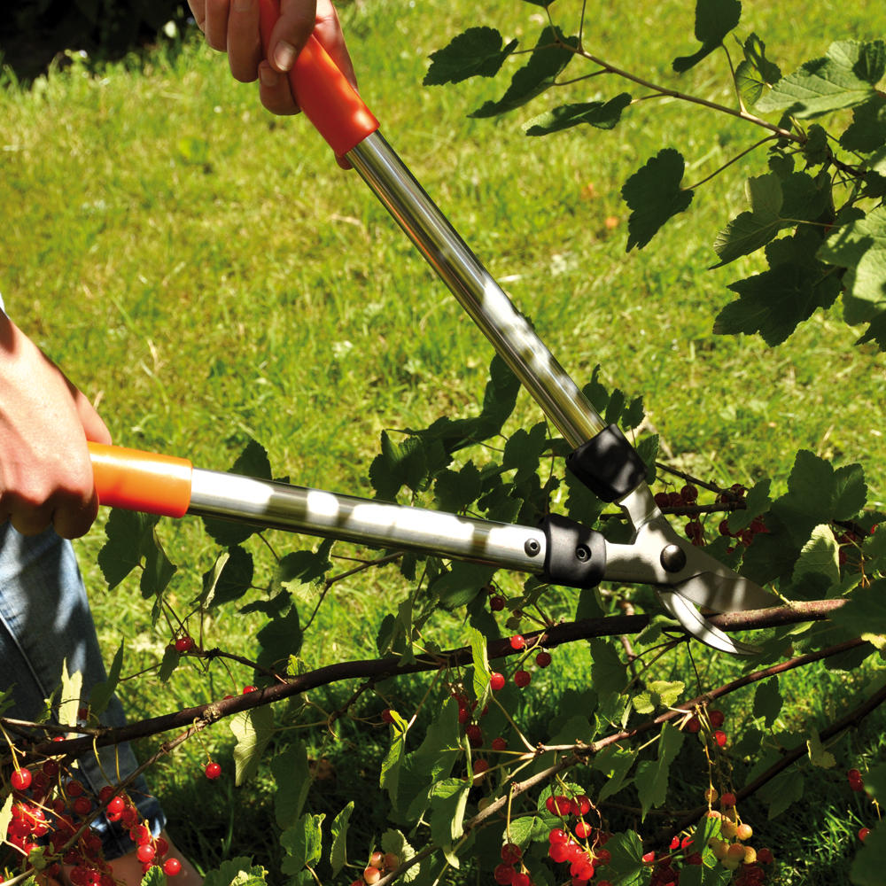 Löwe® 31 Mini Bypass Loppers, Length 400 mm