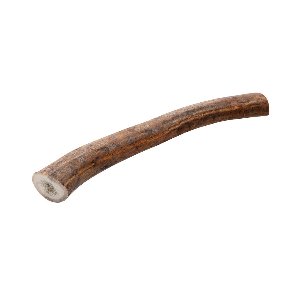 Segment de bois de renne, 181-250 g
