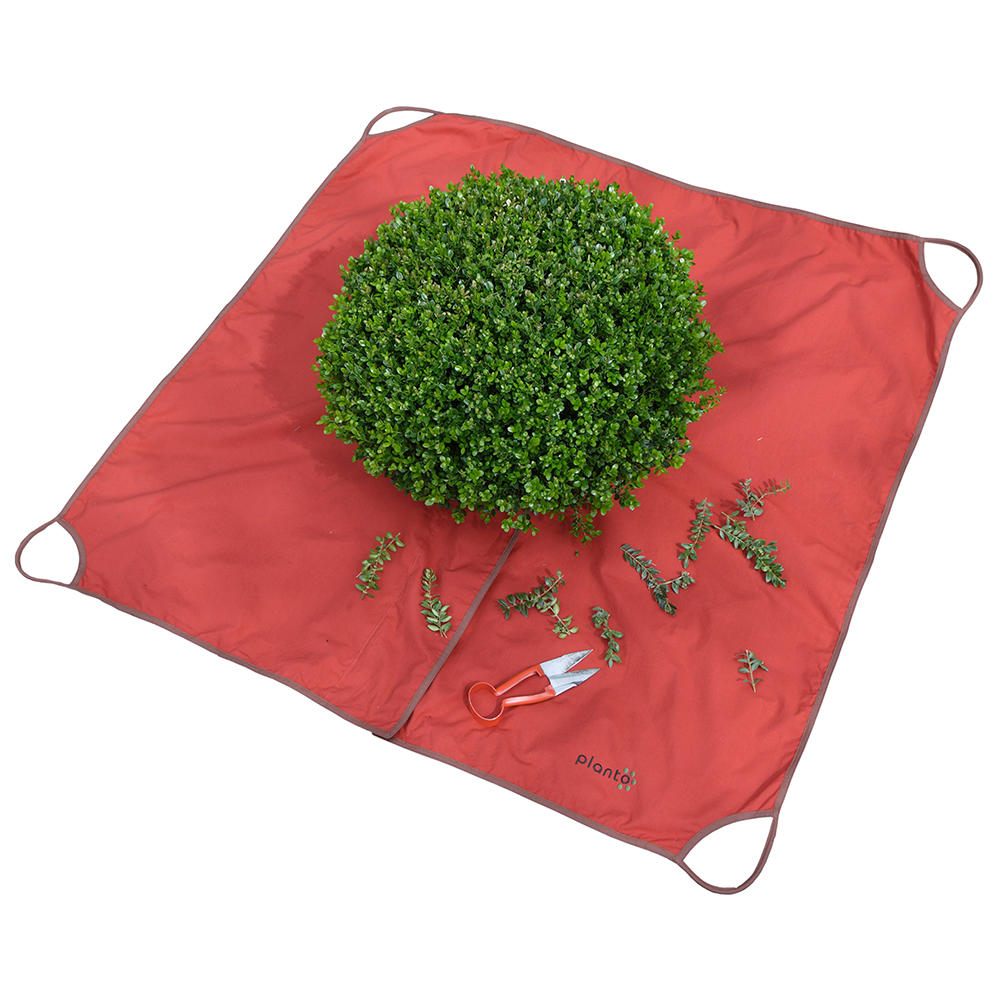 Topiary Cloth
