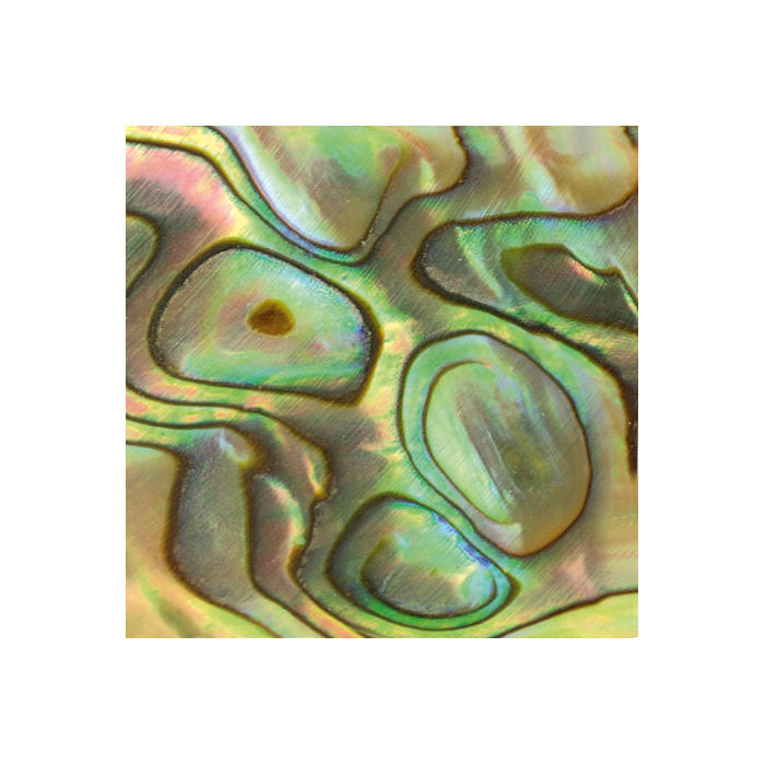 Mother-of-Pearl, Squares, Paua, 20 x 20 mm, 5-Piece Set