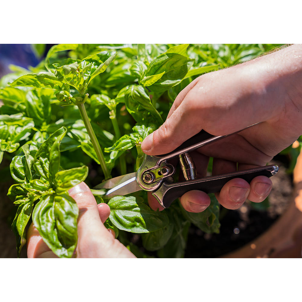 Mini-sécateur de jardin