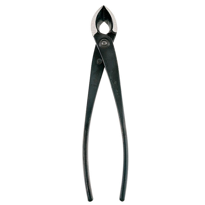 Pinza concava