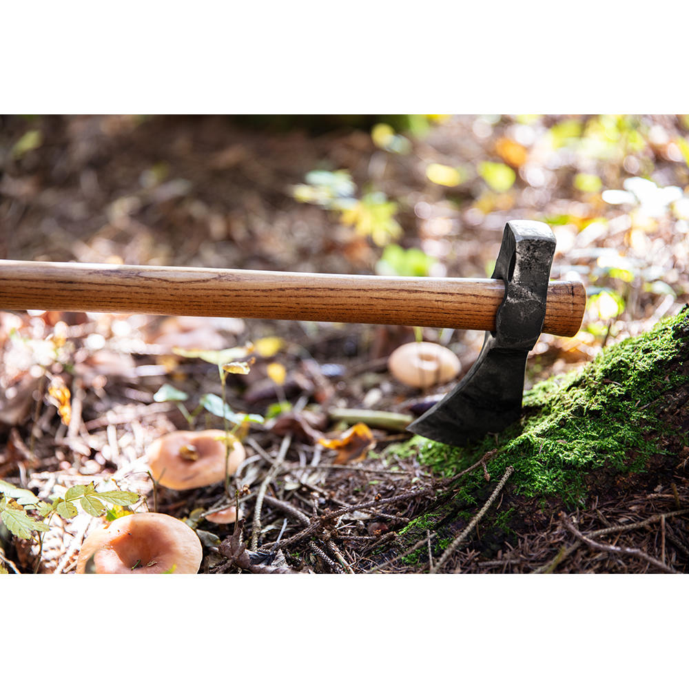 DICTUM® Polled Outdoor Axe, with Belt Case