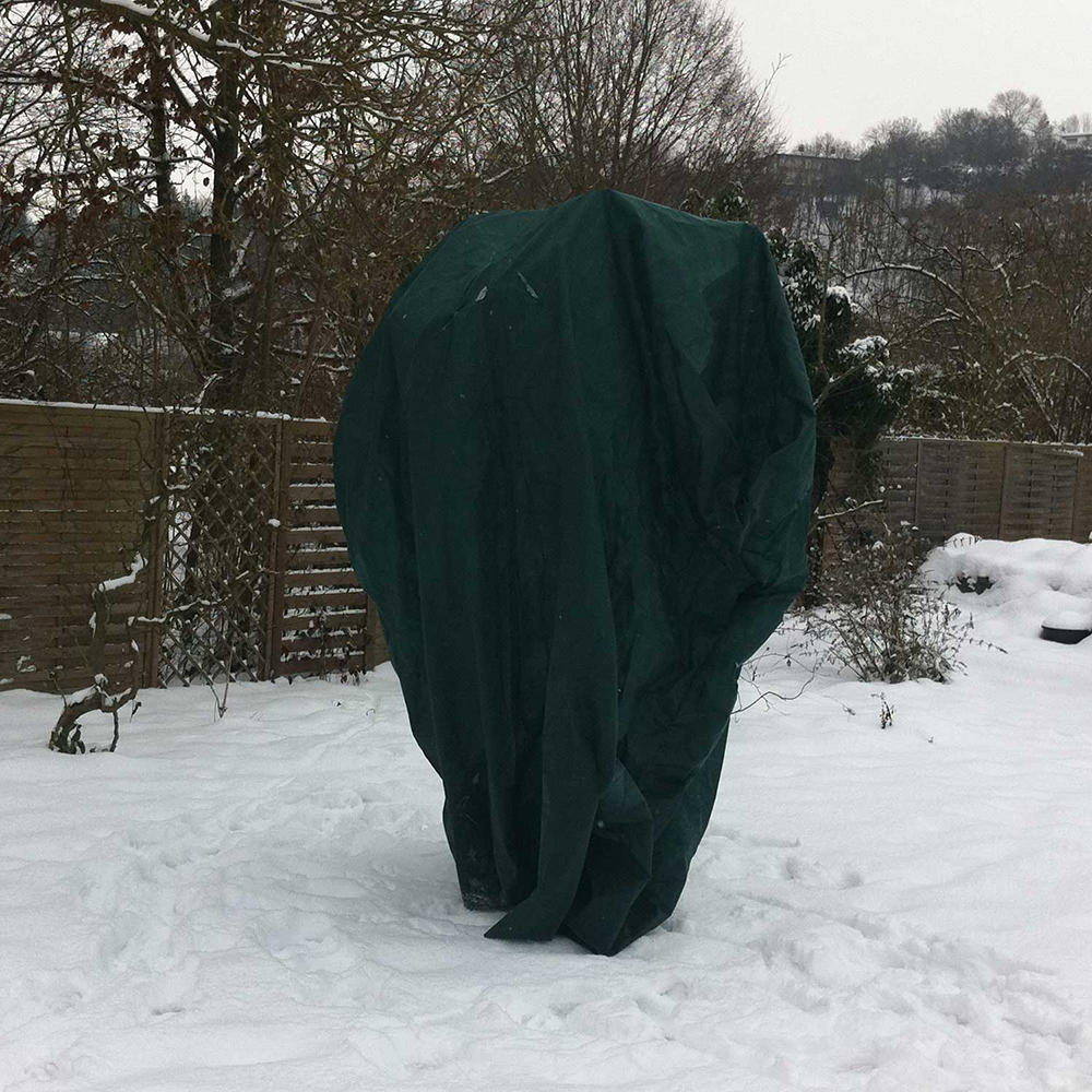 Telo antigelo per piante in tessuto non tessuto, 5 x 1,5 m