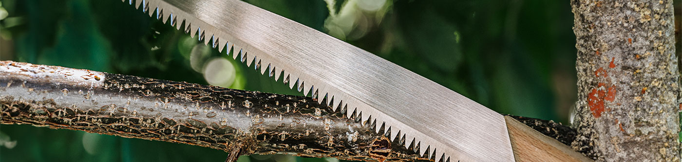 Header_DICTUM_Garten_Astsaege_1400x333 Header_DICTUM_Garten_Astsaege_1400x333