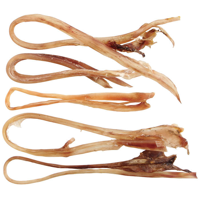 Tendons d'autruche, 5 pièces