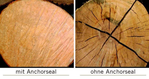 55 Liter Anchorseal Wachsemulsion Grünholz-Versiegelung mit Pumpe